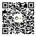 上海绿植租赁-办公室绿植租赁-静艺（上海）景观设计工程有限公司