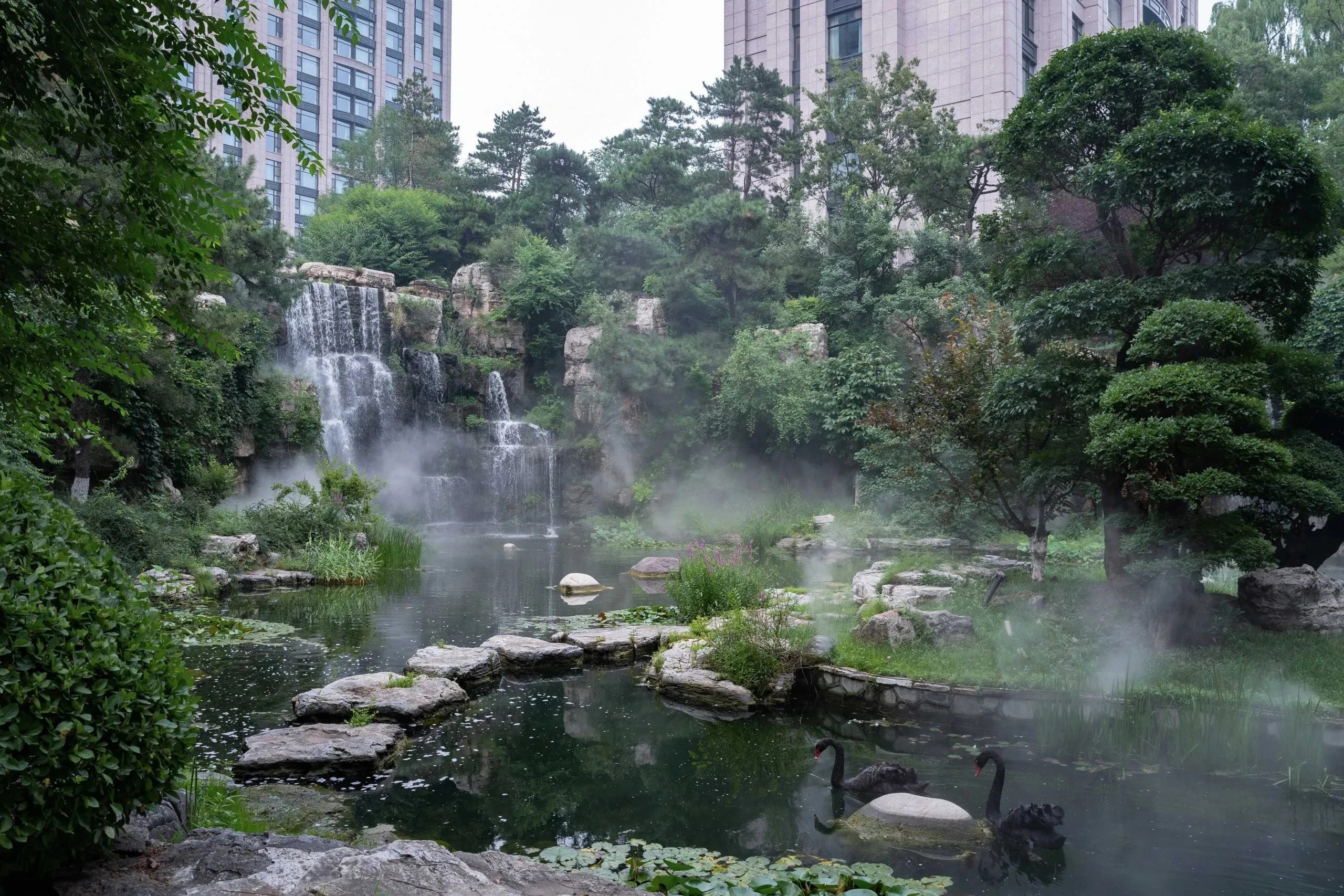园林景观